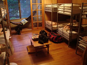 Hostel dorm room style