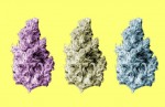 What Your Favorite Strain Says About You