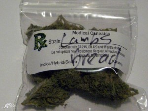 Lamb's bread weed