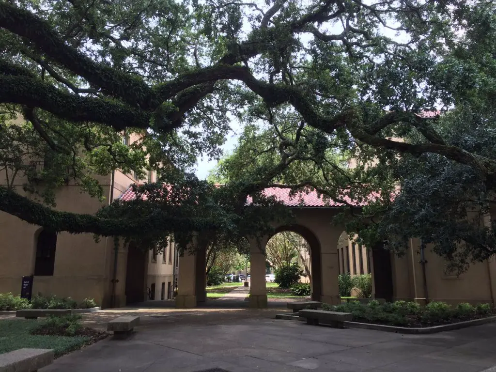 LSU Campus; Baton Rouge, Louisiana - Study Breaks