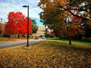 University of Maine Campus; Orono, Maine