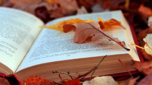 5 Books Best Enjoyed in Fall