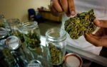 A Breakdown of California’s Choice to Legalize Recreational Marijuana