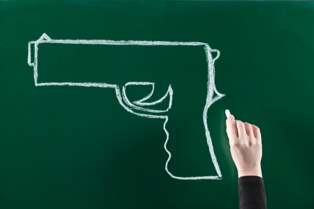 Should Universities Offer Firearms Studies Courses?