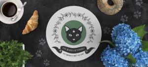 Chatham University's Indigo Baloch Talks Opening Pittsburgh's Furst Cat Café