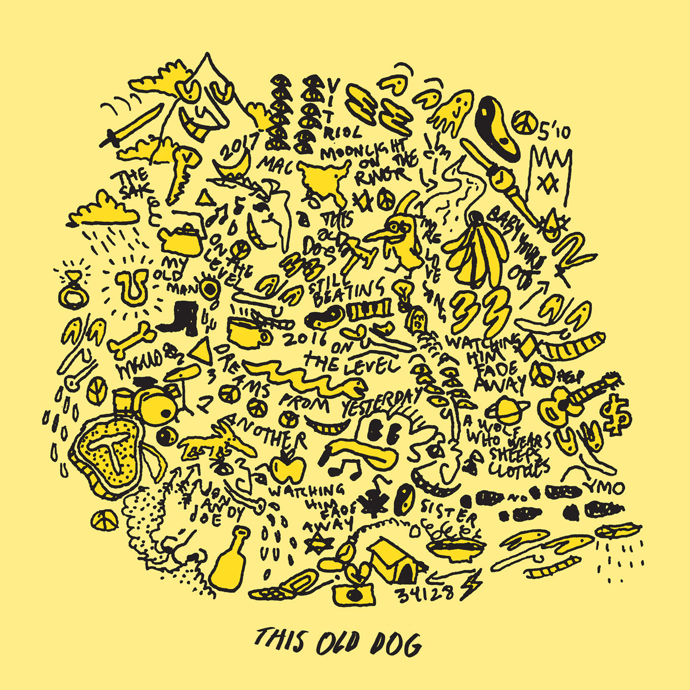 Mac DeMarco Embraces Adulthood on 'This Old Dog'