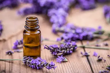 Graduate to a higher understanding of essential oils - Essential Oil  University (EOU)