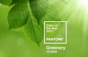 Pantone