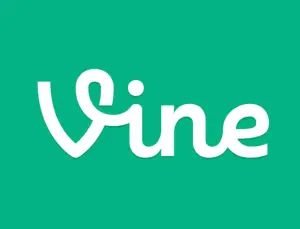 Vine