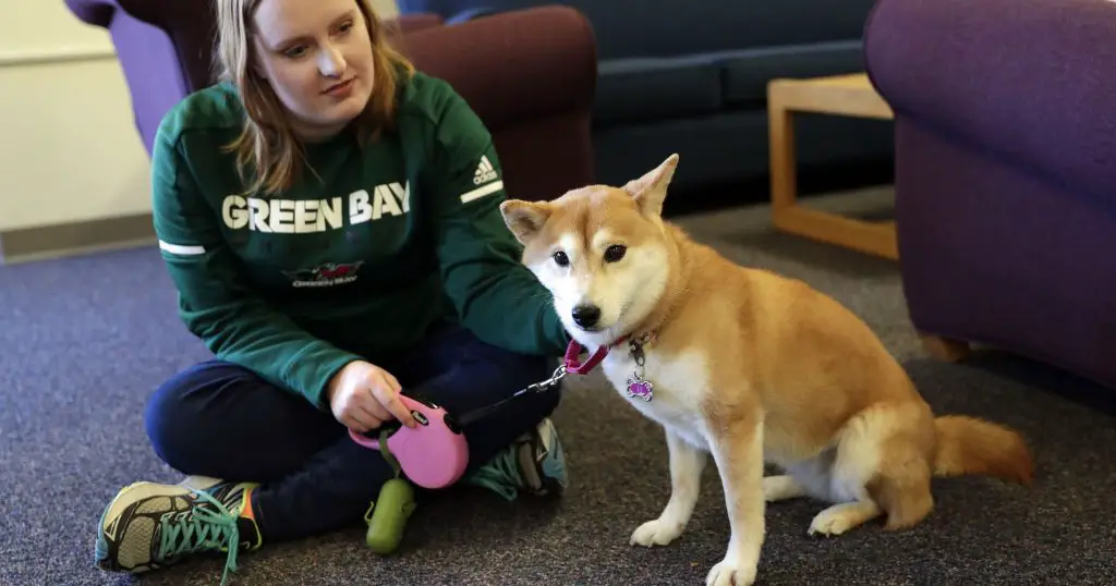 Emotional support animals