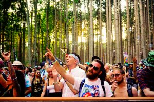 Electric Forest