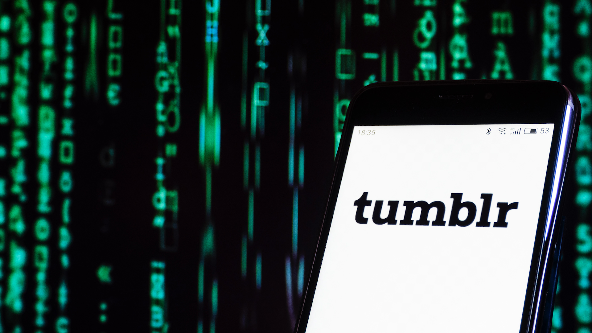 Perhaps Tumblr should focus on other, more problematic content it advocates for. (Image via Mashable)