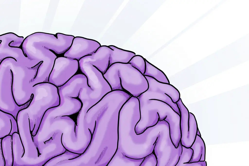 A graphic design of a purple brain