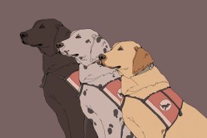 Service dogs