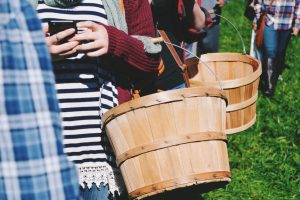Photograph of person texting on their phone while holding a wooden bucket for apple picking at an apple orchard, photograph by melody bates on unsplash website