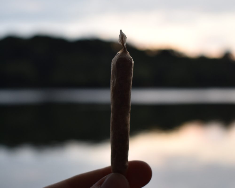 a closeup of a marijuana joint