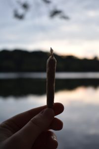 a closeup of a marijuana joint