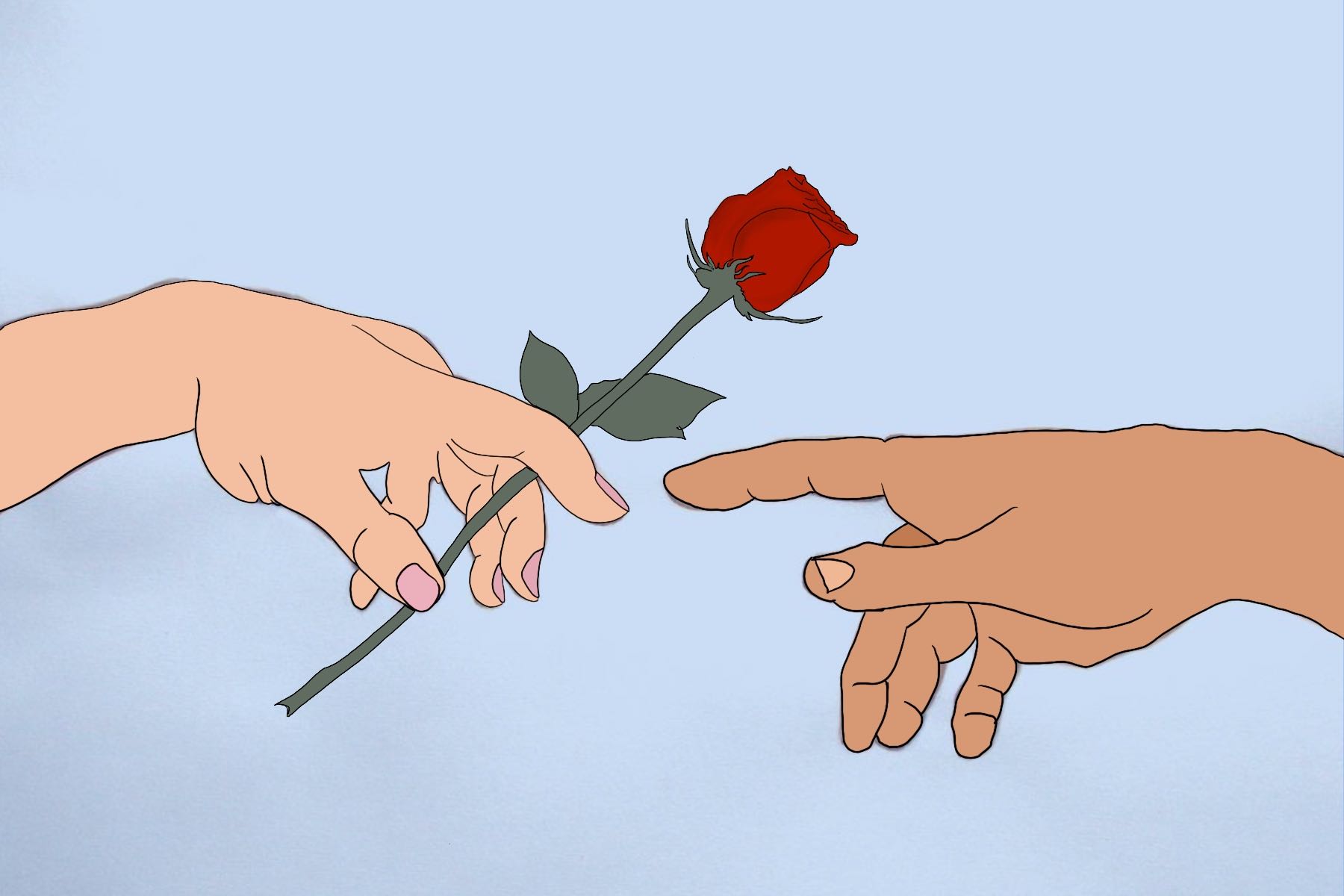 Illustration of the rose from the show The Bachelor