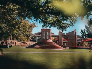 Natural landscaping on a college campus