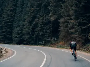 Man riding bike on road