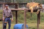 The Tiger King, Joe Exotic, with a tiger
