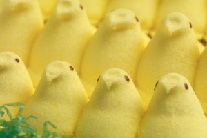 Yellow Peeps