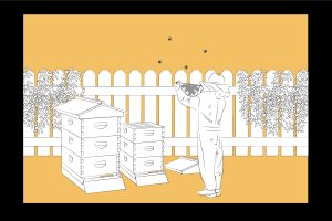 Illustration of backyard beekeeping