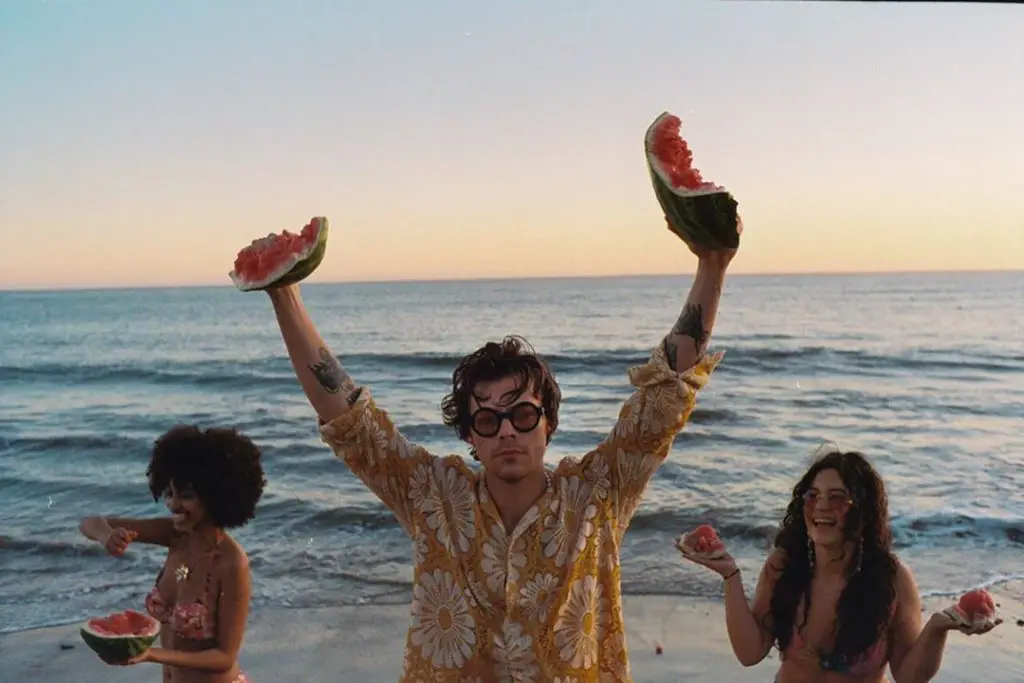 Harry Styles on the beach for his video Watermelon Sugar