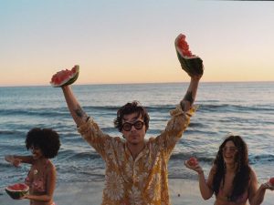 Harry Styles on the beach for his video Watermelon Sugar