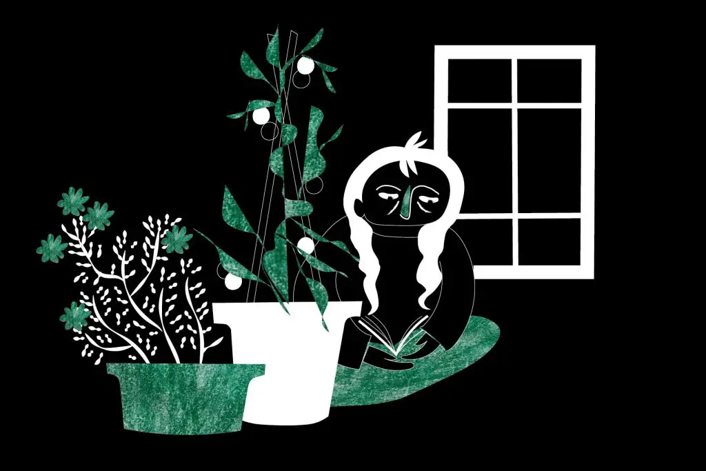 Illustration of a woman beside her indoor garden.