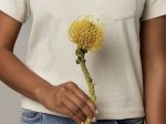 Image of a person's torso, holding a yellow flower in front of their white shirt, in article about sustainable fashion