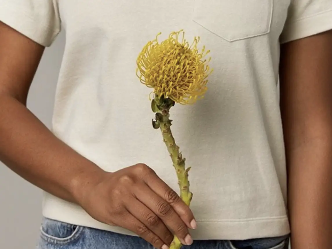 Image of a person's torso, holding a yellow flower in front of their white shirt, in article about sustainable fashion