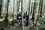 In an article about the Leave No Trace principles, backpackers walking through the forest