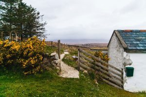 In an article about Irish immigrants, a photo of Irish countryside