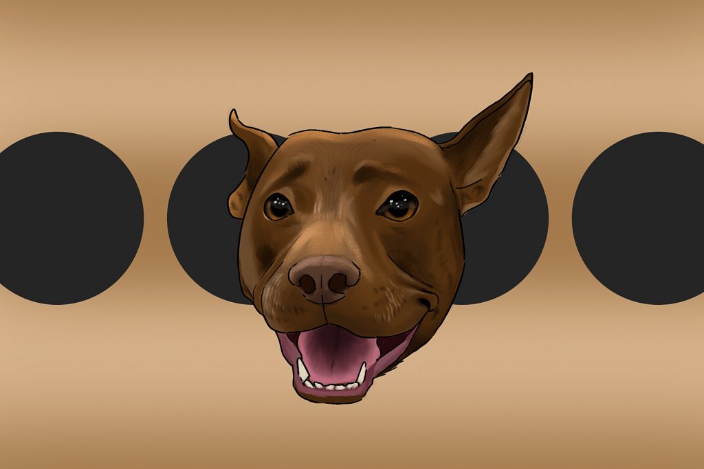 Illustration by Melchisedech Quagrainie for an article on talking dogs