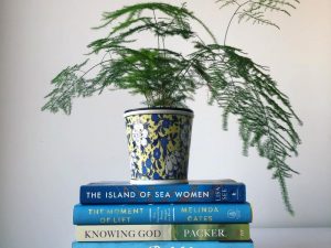 in an article about book hauls, a photograph of five books stacked on top of each other