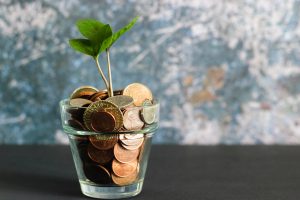 a potted plant filled with money and coins