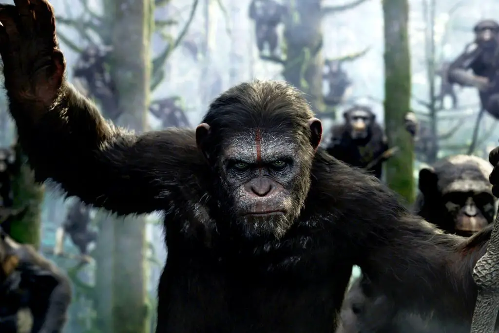 A still from the most recent addition to the Planet of the Apes trilogy.