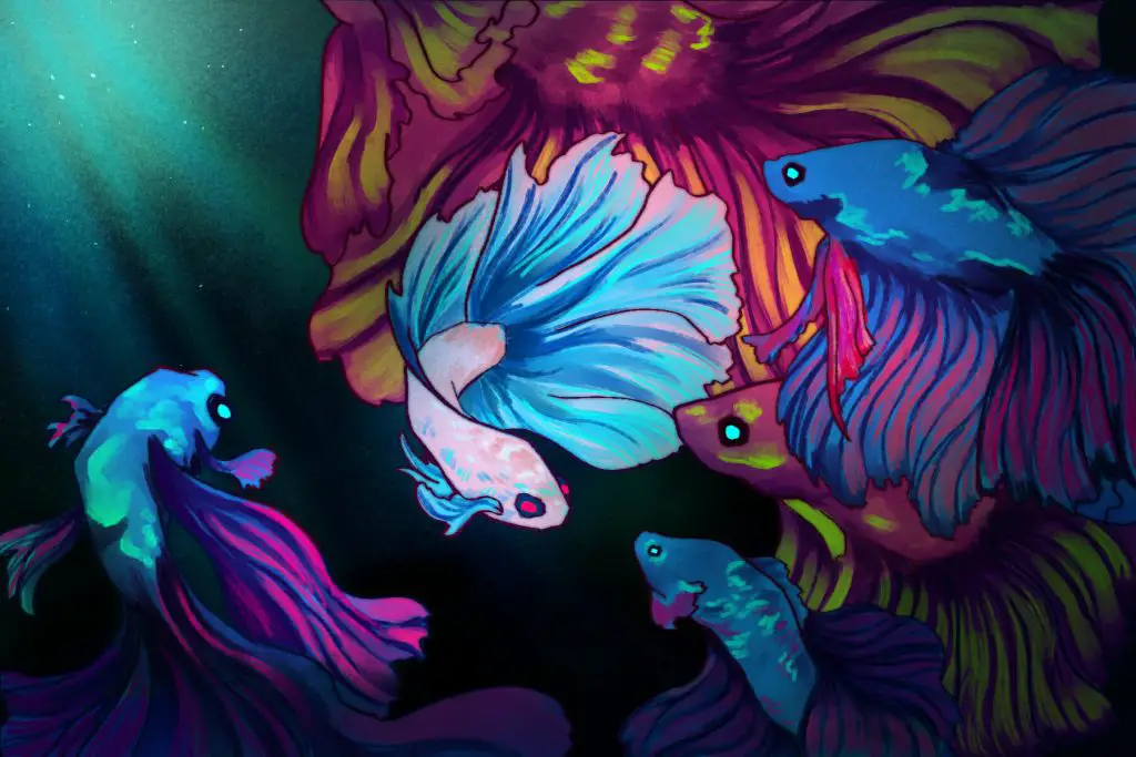 Illustration by Lucas DeJesus for an article on betta fish