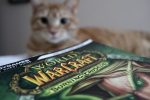 Game guide to MMORPG World of Warcraft