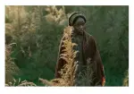 screenshot from The Underground Railroad, a movie about slavery