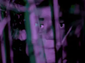 In an article about Liz Phair, a puppet face from the music video for "Hey Lou" from "Soberish" is cast in a purple light among twigs and leaves. (Image via Google Images)