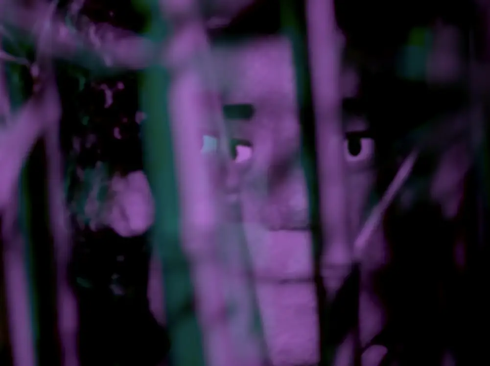 In an article about Liz Phair, a puppet face from the music video for "Hey Lou" from "Soberish" is cast in a purple light among twigs and leaves. (Image via Google Images)