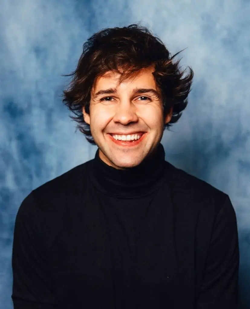 In article about Don't Try This at Home, a picture of David Dobrik