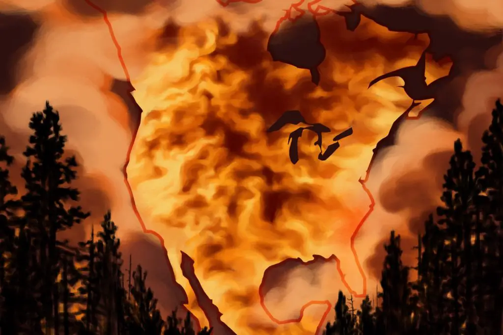 A creative illustration of the tragic North American wildfires.