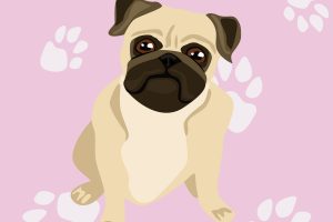 An illustration of a pug.