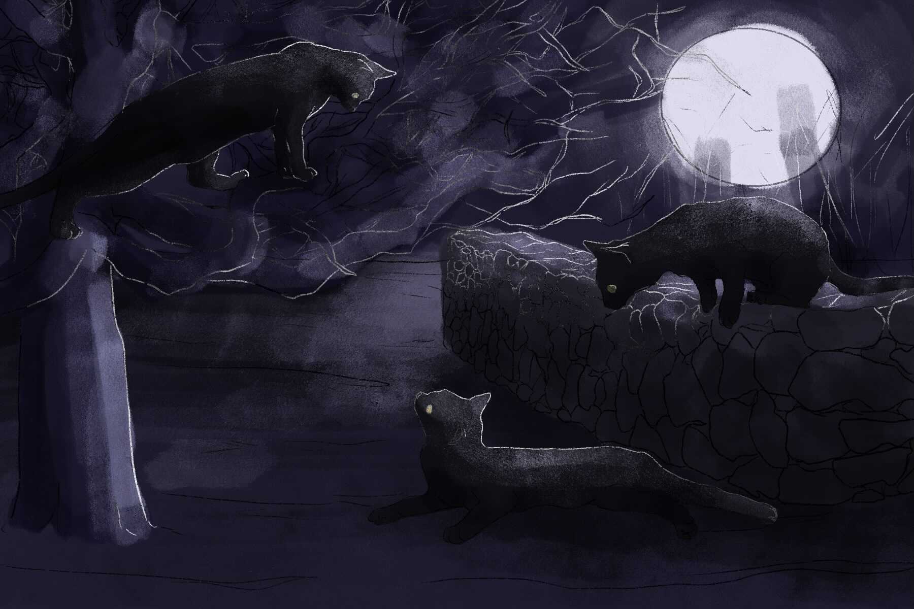 An illustration of three black cats in a yard at night in front of a bright moon.