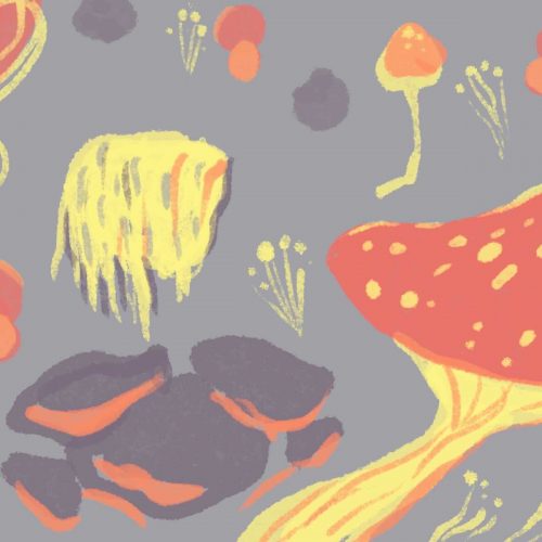 Illustration of mushrooms in Fantastic Fungi