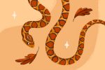 An illustration of a corn snake surrounded by leaves and sparkles.