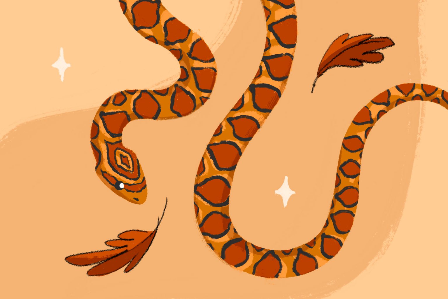 Why Corn Snakes Make Great Long-Term Pets